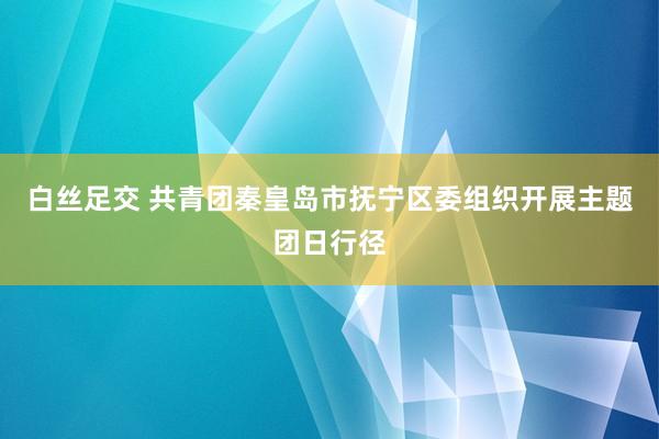 白丝足交 共青团秦皇岛市抚宁区委组织开展主题团日行径