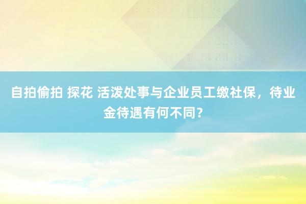 自拍偷拍 探花 活泼处事与企业员工缴社保，待业金待遇有何不同？