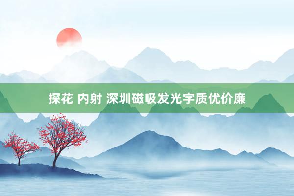 探花 内射 深圳磁吸发光字质优价廉