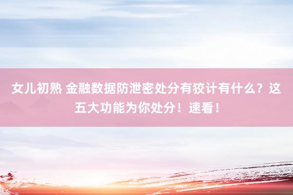 女儿初熟 金融数据防泄密处分有狡计有什么？这五大功能为你处分！速看！