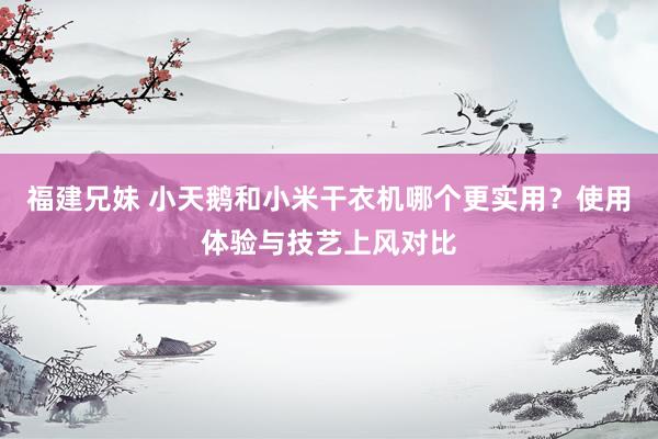 福建兄妹 小天鹅和小米干衣机哪个更实用？使用体验与技艺上风对比