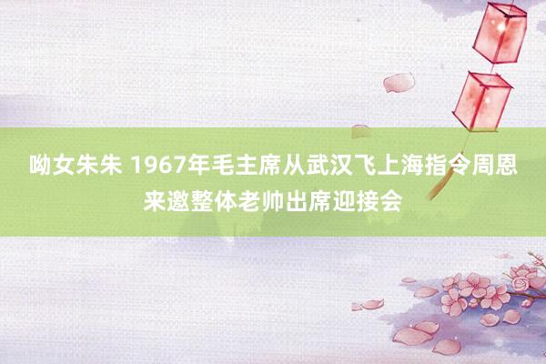呦女朱朱 1967年毛主席从武汉飞上海指令周恩来邀整体老帅出席迎接会