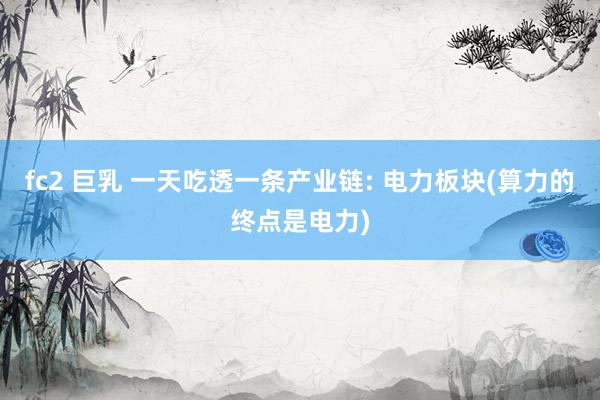 fc2 巨乳 一天吃透一条产业链: 电力板块(算力的终点是电力)