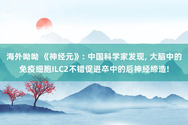 海外呦呦 《神经元》: 中国科学家发现， 大脑中的免疫细胞ILC2不错促进卒中的后神经缔造!