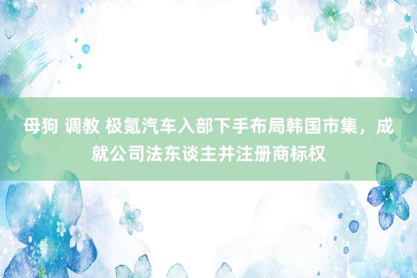 母狗 调教 极氪汽车入部下手布局韩国市集，成就公司法东谈主并注册商标权